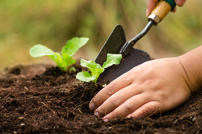 Love to Garden? Tips for Gardening With Chronic Hand Pain