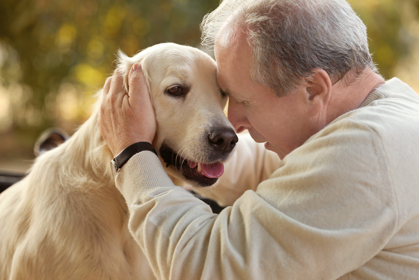 Is Joint Pain Making it Hard to Keep Up with Your Pet?