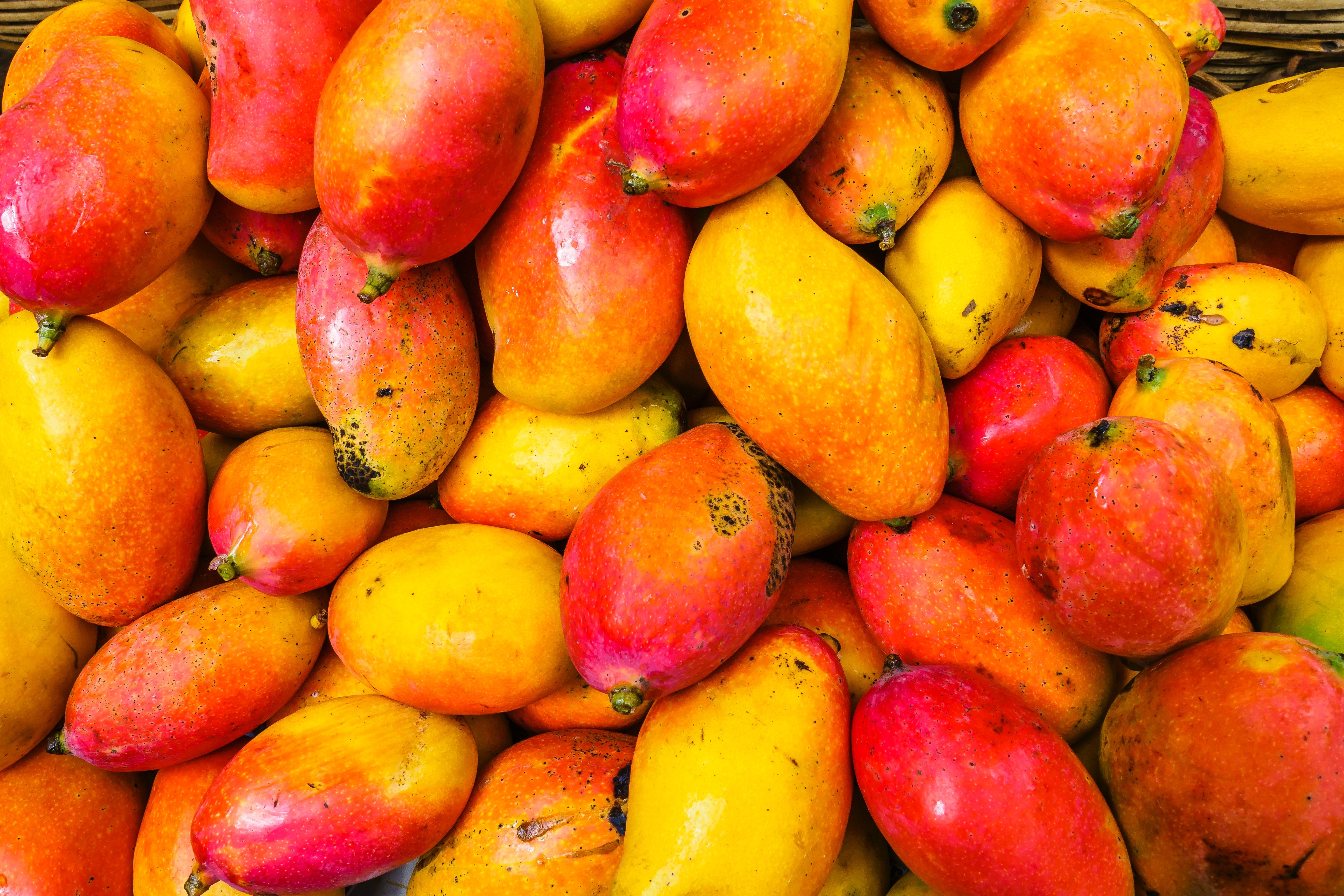Eating locally in South Florida