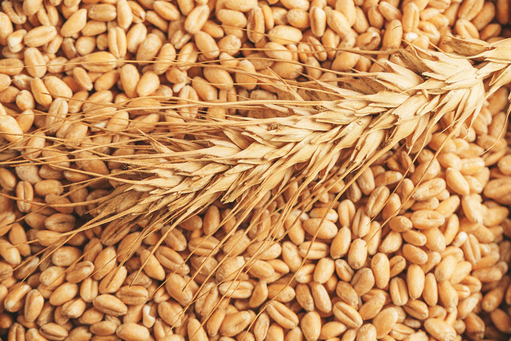 Gluten Sensitivity and Joint Pain